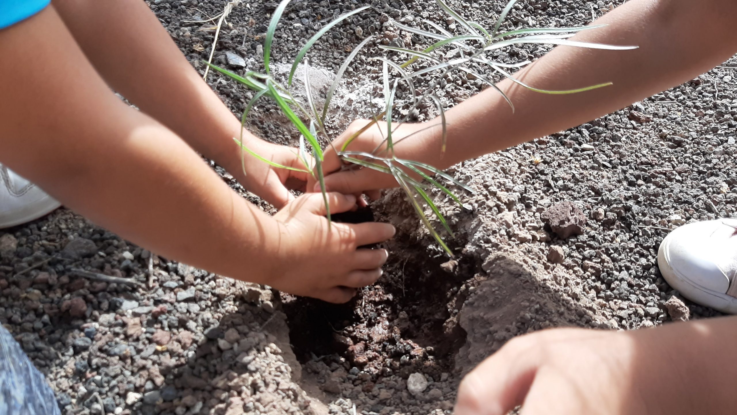Actividades comunitarias